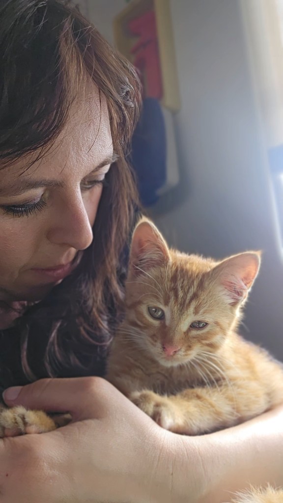 The author holding a ginger cat while on a Kyiv Kramatorsk train
