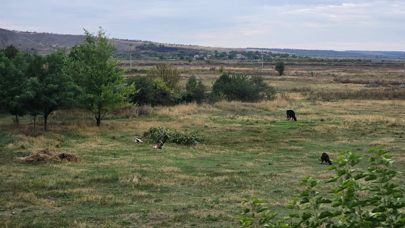 landscape of Donetsk region, summer 2025