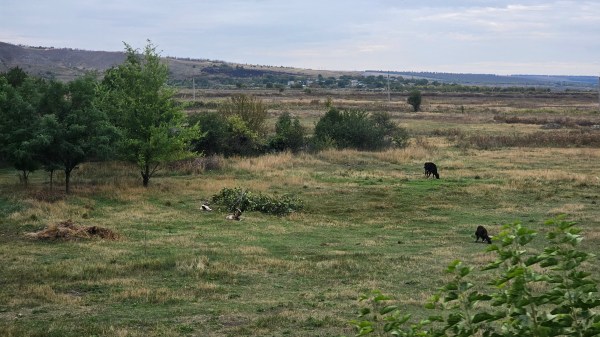 landscape of Donetsk region, summer 2025